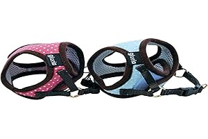 GLORIA LO MEJOR PARA TU MEJOR AMIGO GLORIA PETRAL Puntos XS Cuello 17-22CM Pecho 20-25CM Verd