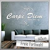 Wandtattoo | Carpe Diem- nutze den Tag | Jayess | 140cm x 78cm | Farbwahl