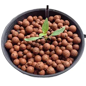 SENECIO Clay Balls for Plants Hydrotons, Lightweight Expanded Clay Aggregates (LECA) for Aeroponics, and Aquaponics, Aquaculture Plant Light Garden 1kg