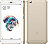 Xiaomi Redmi 5A Smartphone, 16 GB, Oro [Italia]