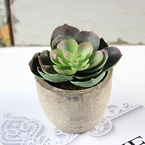 5er Set Sukkulenten 7 x 8cm Kunstpflanze Grün Weiß Kunstblume Deko mit grauen Töpfen - 6