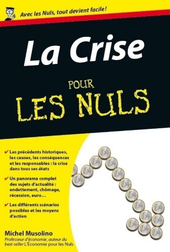 CRISE POCHE POUR LES NULS CRISE POCHE POUR LES NULS