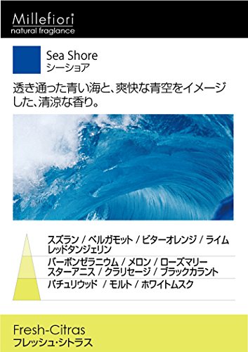 Stick Diffusor, SEA SHORE, Frische Zitrusnote, Rosmarin und Sternanis. Inhalt:100 ml - 3