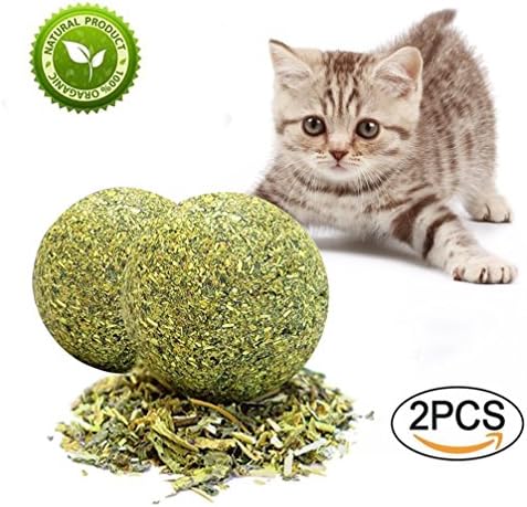 RIO Direct Matatabi Catnip Toys, Dental Care Catnip Ball Toys Natural Cat Treats for Cat Teeth Cleaning, Silvervine Cat Chasing Toys for Healthy Teeth