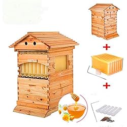Maison en Bois Automatique en Forme de Ruche 7p Cadre en Forme de Ruche en Bois pour Abeilles et équipement pour Apiculture