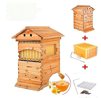 Changli Maison en Bois Automatique en Forme de Ruche 7p Cadre en Forme de Ruche en Bois pour Abeilles et équipement pour Apiculture