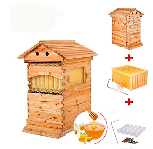 Maison en Bois Automatique en Forme de Ruche 7p Cadre en Forme de Ruche en Bois pour Abeilles et équipement pour Apiculture