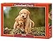 Produktbild Castorland B-52271 Puzzle