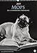 Mops - Ein literarischer Spaziergang - Kalender 2019 by