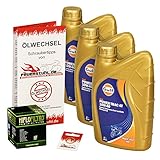 honda shadow 600 auspuff passend für: Honda VT 600 C Shadow, Bj. 88-00 (Typ PC21)