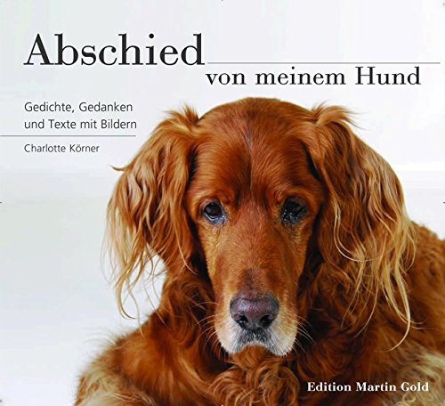 Hund Gestorben Was Nun Hunde Fande