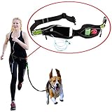 Hibote Einstellbarer Laufgürtel Wasserdichter Beutel Passt Telefone Hund Abfall Tasche Dual Griff Reflektierende Bungee Laufen Hund Leine für Kleine Mittlere und Große Hunde