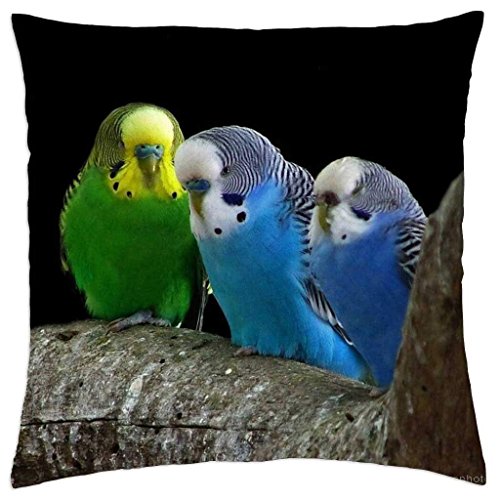 Lepilo Pillowcases Baby Bird 18x18(inches)
