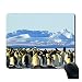 Produktbild MausPad, Penguins On Frozen Ice with Icebergs in Background Fashion Design Non Slip Rubber Gaming Oblong Maus Pad Mat iFUOFF