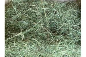 Glebe Farm Hay (Pack of 2)