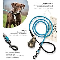 [Gesponsert]Hundeleine Tajo aus hochwertigem Kletterseil mit Bolzenkarabiner - JACK & RUSSELL Hunde Leine mit Soft-Grip Handschlaufe (Blau / Reflektierend)