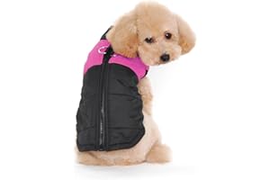 Ectkuee Animale Domestico Cane Vestiti Imbottito Abbigliamento Cappotto Giacca