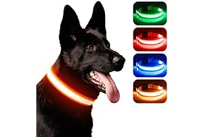 Leuchthalsband Hund, iTayga USB Aufladbar Led Hundehalsband Einstellbar Hundehalsband Leuchtend, Nacht-Sicherheitslicht Hundehalsband,TPU Wasserdicht, 3 Beleuchtungsmodi(Orange, L)