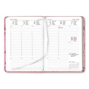 Alpha Edition Ladytimer 170839 Agenda per Anno 2017