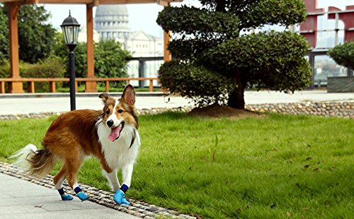SAMGU-Waterproof-Non-slip-Sports-Socks-Shoes-Paw-Protector-Pet-Dog-Puppy