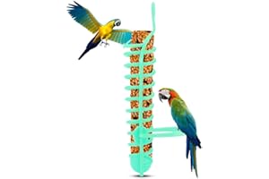 Fdit Parrots Feeder Basket Plastic Food Fruit Feeding Perch Stand Holder for Pet Bird Supplies Fruit Vegetable Millet Container(Green)