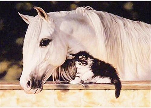 5D Diamond Painting Kit DIY Rhinestone Embroidery Cross Stitch Arts Craft For Home Wall Decors White Horse &amp; Black Cat 11.8*15.7 inch (30*40 cm)