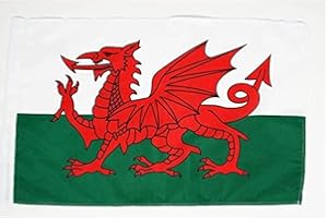 AZ FLAG - Wales Flag - 18'' x 12'' - 100% Polyester Welsh Small Banner with Sleeve - Fade Resistant - Vivid Colors - 18x12 in - 45x30 Cm