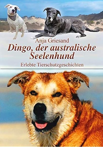 Dingo Der Australische Seelenhund Erlebte Tierschutzgeschichten Amazon De Griesand Anja Bucher