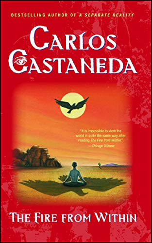 Fire from Within (English Edition)