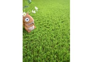 DECOWEB Gazon synthétique Fontainebleau 30mm - Rouleau de 2m x 5m