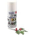 Edible Glaze Spray - Clear