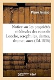 Image de Notice sur les propriétés médicales des eaux de Loëche, scrophules, dartres, rhumatismes