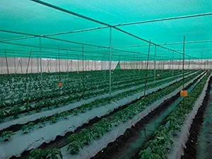 Amar Canvas Store Multipurpose Shade Net/Agro Net/Green Net for Your Gardens & Shades - 90%, Green (20 feet x 15 feet)