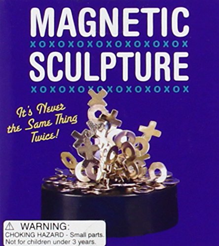 Magnetic Sculpture: It's Never The Same Thing Twice livre