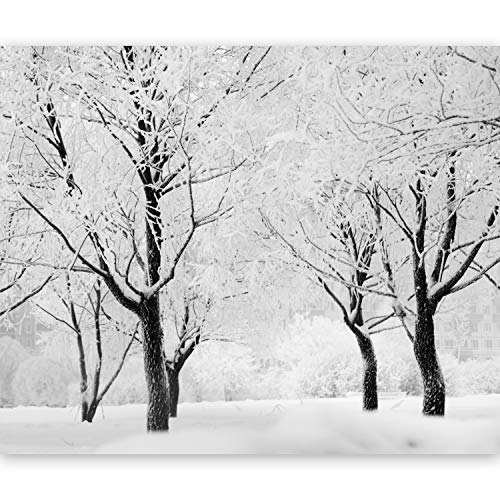 murando - Fotomural 300x231 cm - Papel tejido-no tejido - Papel pintado - naturaleza - 100403-164