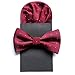 Produktbild Mens Formal Fashion Einstecktuch und Fliege Kombination Set , wine red