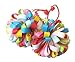 Pair of Girls Hair Bobbles Elastics Ponytail Holder Pom Pom (Rainbow)