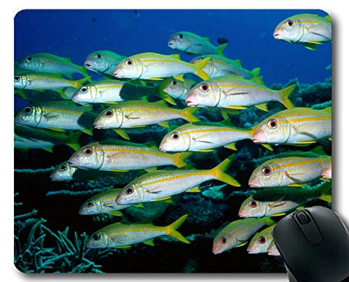 Mouse pad funny,koi fish theme of unique Gaming Mouse pads