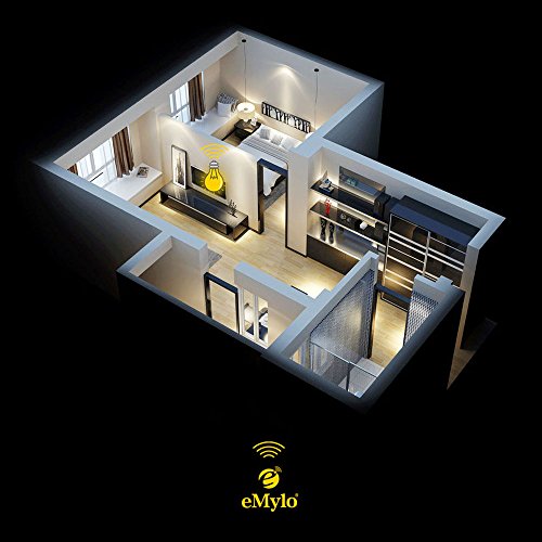 eMylo® DC 12V zwei Übermittler 4X 1 Kanal HF-drahtloser Fernsteuerungsempfänger-Licht-Schalter-Übermittler-Steuerpult - 9