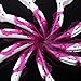 Anself 10Pcs Plastic Crocodile Hairdressing Sectioning Clamp Hair Styling Colorful Clip Hair Clip