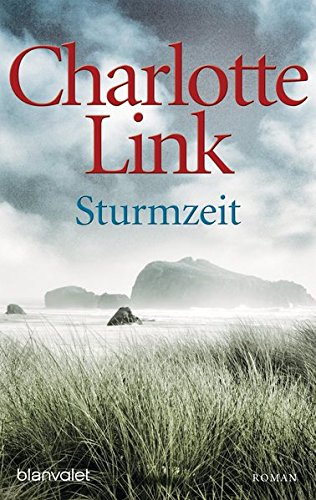 Download Sturmzeit: Roman (Die Sturmzeittrilogie, Band 1) Download Sturmzeit: Roman (Die Sturmzeittrilogie, Band 1)