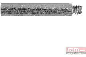 RAM CHEVILLES ET FIXATIONS Ram - Rallonge de Pattes à Vis Acier Zingué, 10mm, Gris, Boîte de 100