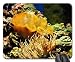 Produktbild Under The sea Mouse Pad, Mousepad