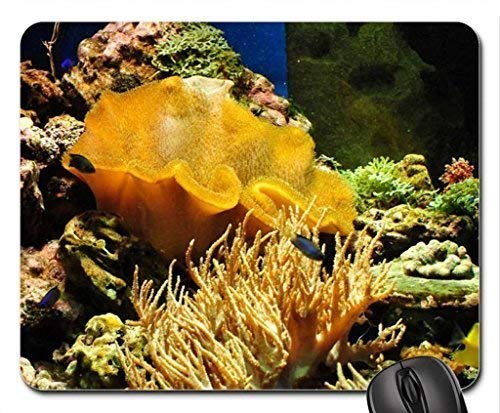 Preisvergleich Produktbild Under The sea Mouse Pad, Mousepad