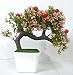 Hyperboles Bonsai Wild Plant Artificial Plant(Pink) with Pot RS.399.00