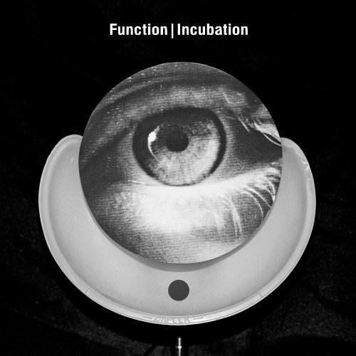 Preisvergleich Produktbild Incubation by Function (2013-05-04)