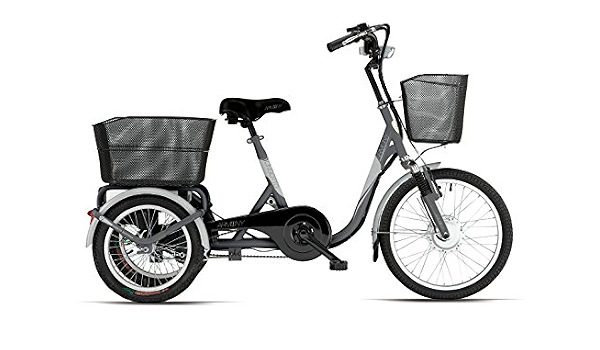 Bicicletta Elettica Con Pedalata Assistita Armony Lingotto a Tre Ruote  Sport : Amazon.it: Sport e tempo libero