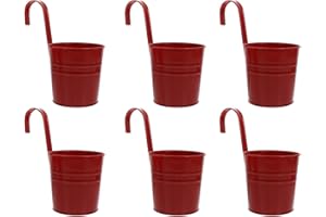 ‎CABILOCK Cabilock Hängende Blumentöpfe Rot Metall Blumentopf Aufhängen Abnehmbar Haken Rustikale Eisen Kunst Balkontopf 6 Stück Sukkulenten Pflanzen Behälter Balkon Garten Dekoration