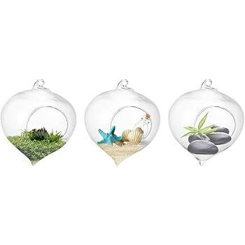 Cloche En Verre Avec Base - Lot De 2, Transparente - Pour Protéger Fleurs, Souvenirs, Décorations DIY - 12x12x11,5 Cm - 4