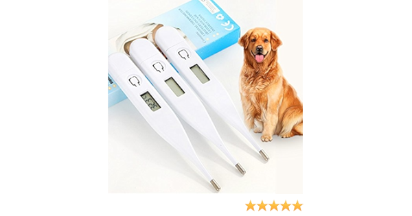 Crewell Veterinary Testeur De Temperature Thermometre Digital Pour Animal Domestique Chien Chiot Chats Lapins Chatons Amazon Fr Animalerie